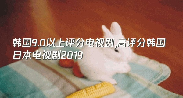 韩国9.0以上评分电视剧,高评分韩国日本电视剧2019