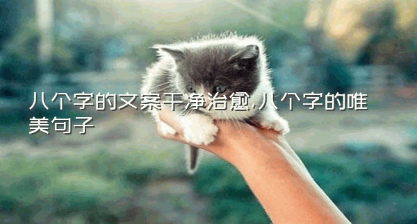 八个字的文案干净治愈,八个字的唯美句子
