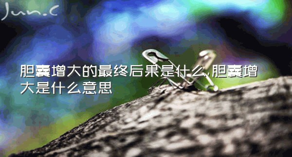 胆囊增大的最终后果是什么,胆囊增大是什么意思