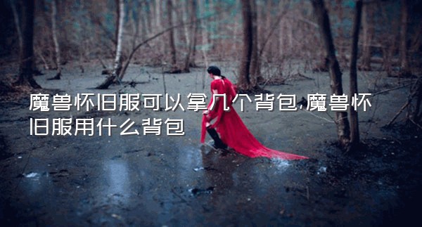 魔兽怀旧服可以拿几个背包,魔兽怀旧服用什么背包