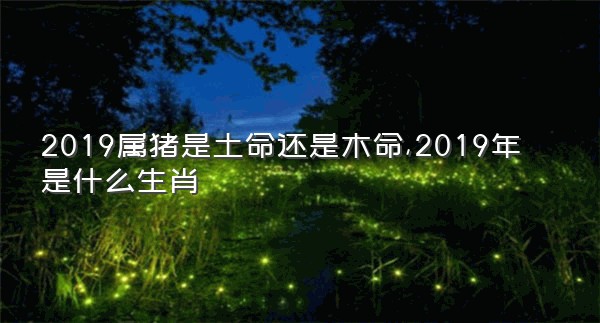 2019属猪是土命还是木命,2019年是什么生肖