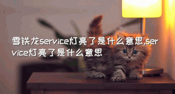 雪铁龙service灯亮了是什么意思,service灯亮了是什么意思