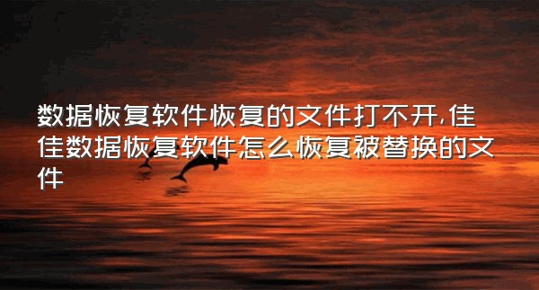 数据恢复软件恢复的文件打不开,佳佳数据恢复软件怎么恢复被替换的文件