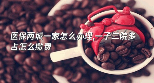 医保两城一家怎么办理,一子二院多占怎么缴费