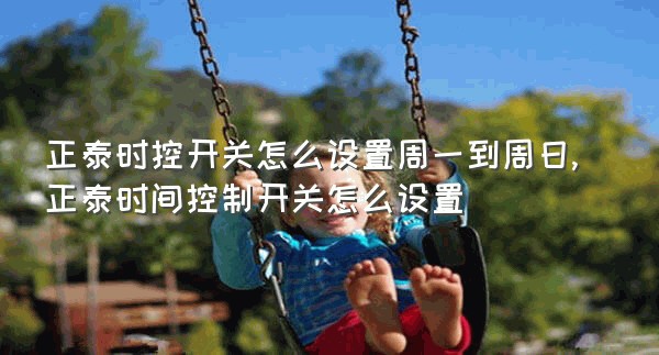 正泰时控开关怎么设置周一到周日,正泰时间控制开关怎么设置
