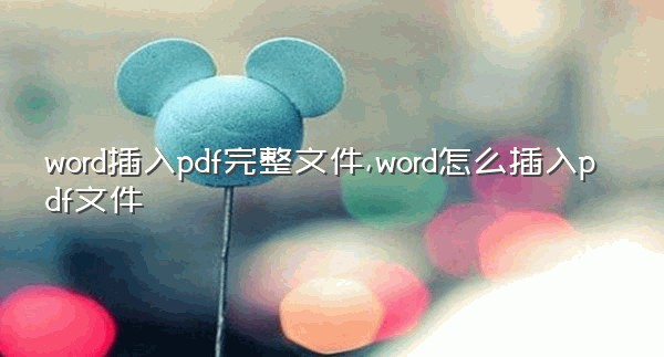 word插入pdf完整文件,word怎么插入pdf文件