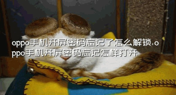 oppo手机开屏密码忘记了怎么解锁,oppo手机开屏密码忘记怎样打开