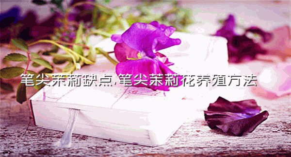 笔尖茉莉缺点,笔尖茉莉花养殖方法