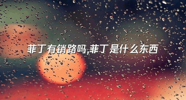 菲丁有销路吗,菲丁是什么东西