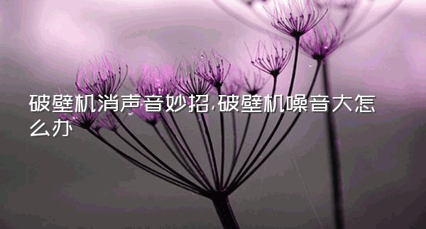 破壁机消声音妙招,破壁机噪音大怎么办