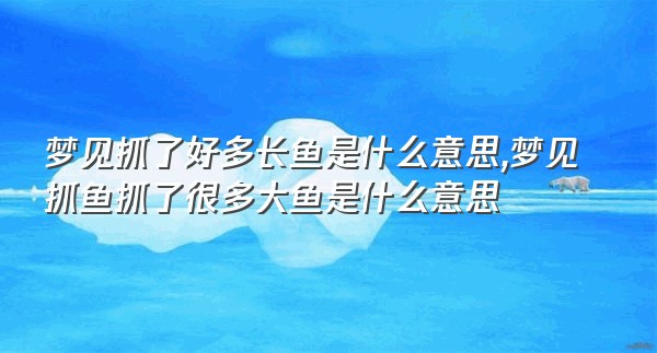 梦见抓了好多长鱼是什么意思,梦见抓鱼抓了很多大鱼是什么意思