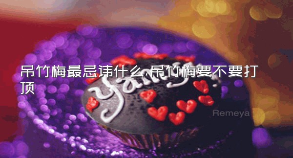 吊竹梅最忌讳什么,吊竹梅要不要打顶