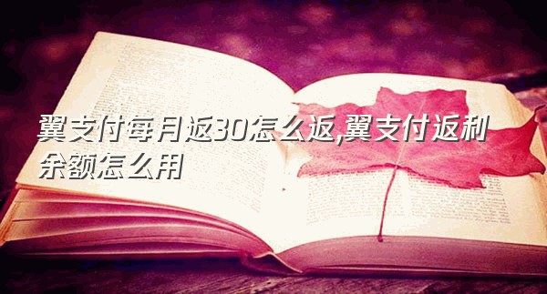 翼支付每月返30怎么返,翼支付返利余额怎么用