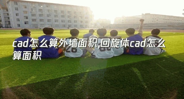 cad怎么算外墙面积,回旋体cad怎么算面积