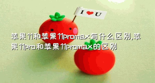 苹果11和苹果11promax有什么区别,苹果11pro和苹果11promax的区别