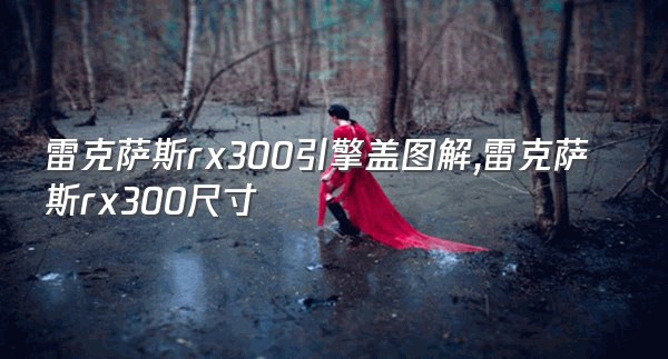 雷克萨斯rx300引擎盖图解,雷克萨斯rx300尺寸