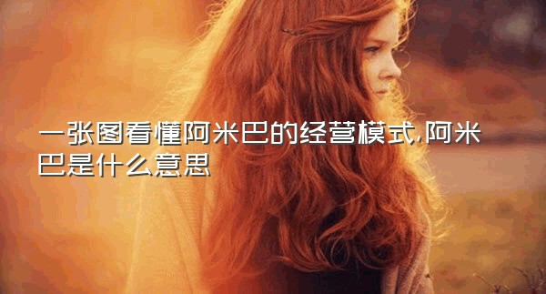 一张图看懂阿米巴的经营模式,阿米巴是什么意思