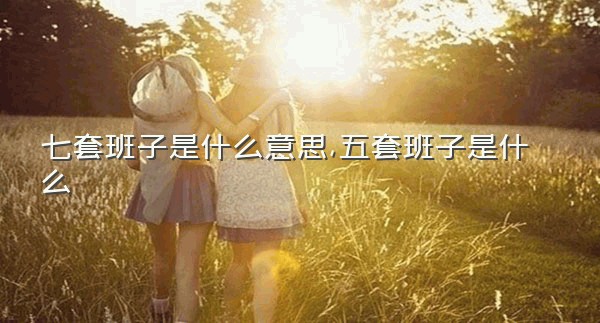 七套班子是什么意思,五套班子是什么