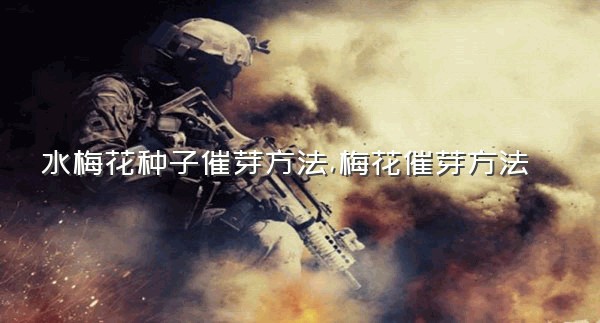 水梅花种子催芽方法,梅花催芽方法