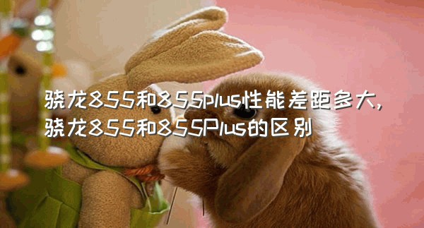 骁龙855和855plus性能差距多大,骁龙855和855Plus的区别