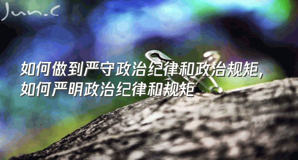 如何做到严守政治纪律和政治规矩,如何严明政治纪律和规矩