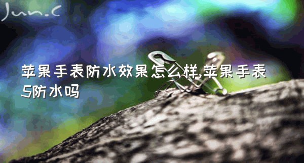 苹果手表防水效果怎么样,苹果手表5防水吗