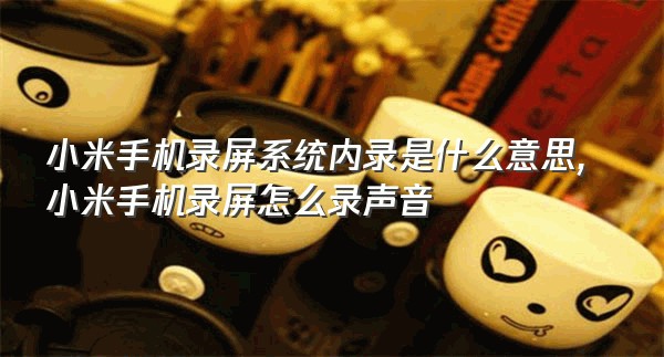 小米手机录屏系统内录是什么意思,小米手机录屏怎么录声音