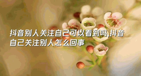 抖音别人关注自己可以看到吗,抖音自己关注别人怎么回事