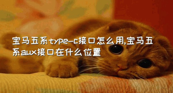 宝马五系type-c接口怎么用,宝马五系aux接口在什么位置