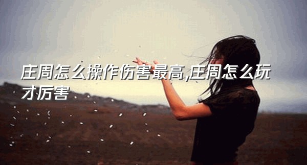 庄周怎么操作伤害最高,庄周怎么玩才厉害