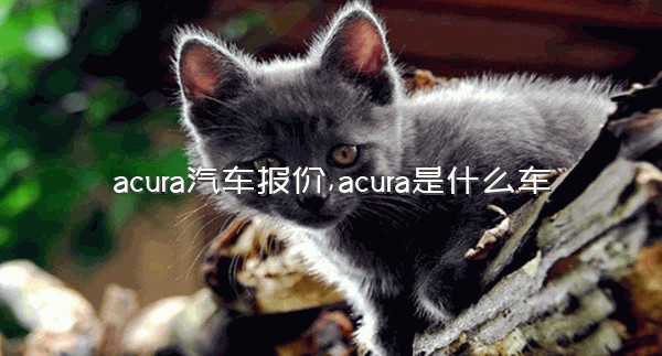 acura汽车报价,acura是什么车