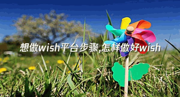 想做wish平台步骤,怎样做好wish