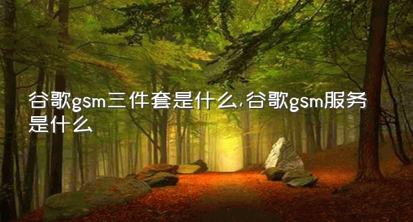 谷歌gsm三件套是什么,谷歌gsm服务是什么