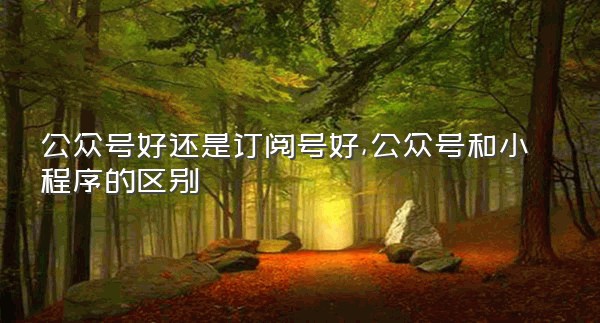 公众号好还是订阅号好,公众号和小程序的区别