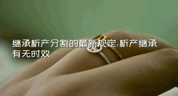 继承析产分割的最新规定,析产继承有无时效