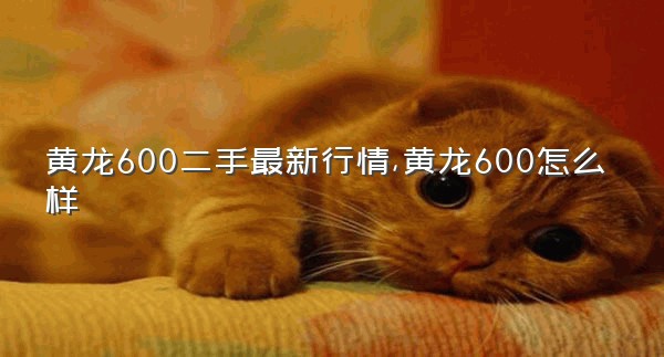 黄龙600二手最新行情,黄龙600怎么样