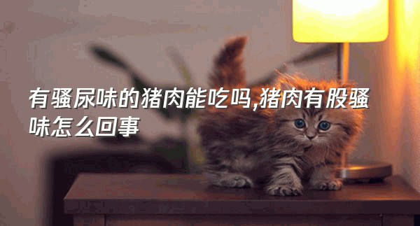 有骚尿味的猪肉能吃吗,猪肉有股骚味怎么回事