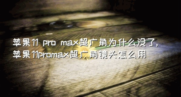 苹果11 pro max超广角为什么没了,苹果11promax超广角镜头怎么用