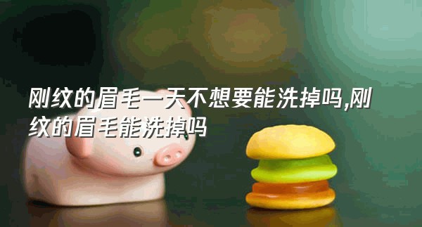 刚纹的眉毛一天不想要能洗掉吗,刚纹的眉毛能洗掉吗