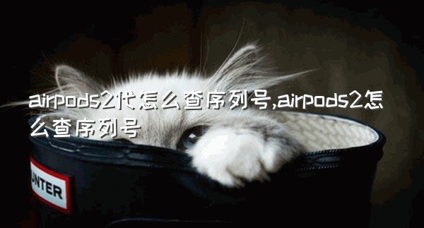 airpods2代怎么查序列号,airpods2怎么查序列号