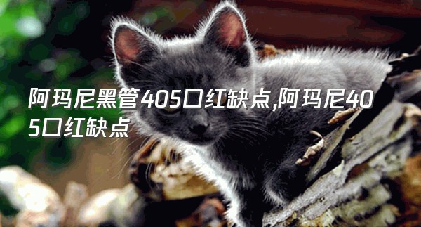 阿玛尼黑管405口红缺点,阿玛尼405口红缺点