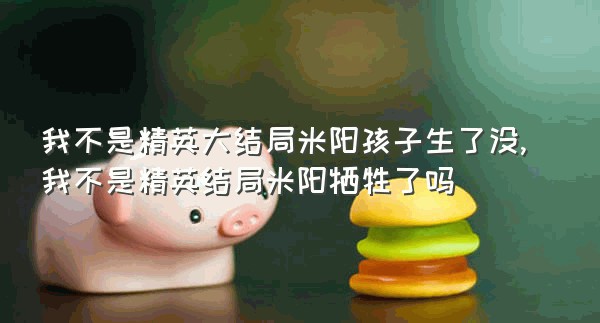 我不是精英大结局米阳孩子生了没,我不是精英结局米阳牺牲了吗
