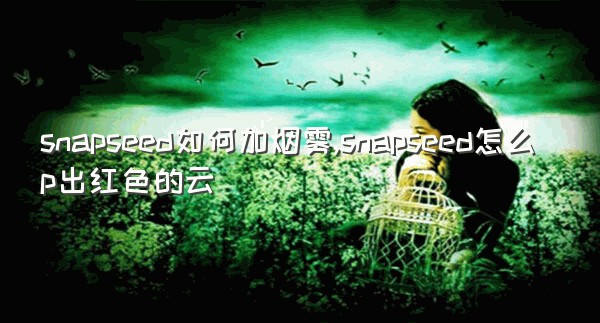 snapseed如何加烟雾,snapseed怎么p出红色的云