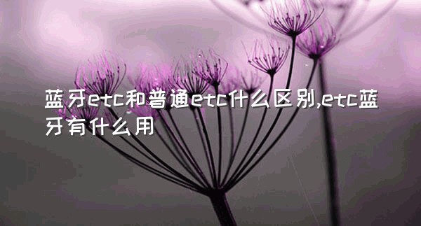 蓝牙etc和普通etc什么区别,etc蓝牙有什么用