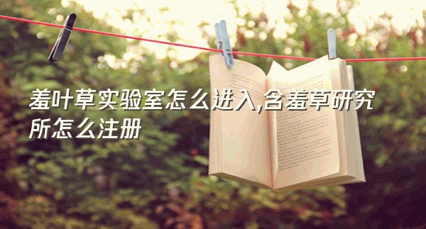 羞叶草实验室怎么进入,含羞草研究所怎么注册