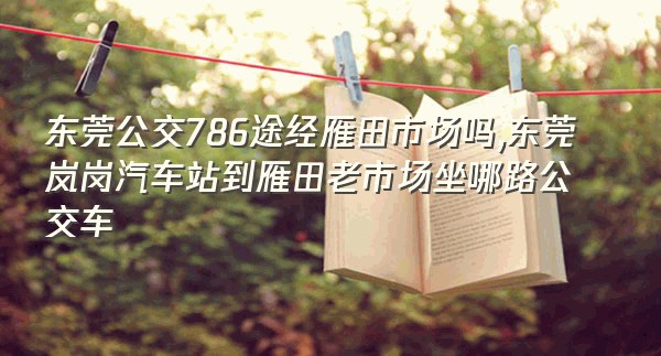 东莞公交786途经雁田市场吗,东莞岚岗汽车站到雁田老市场坐哪路公交车