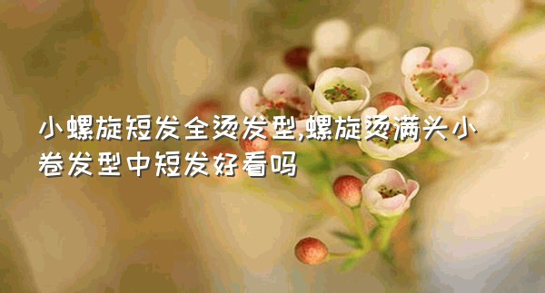 小螺旋短发全烫发型,螺旋烫满头小卷发型中短发好看吗