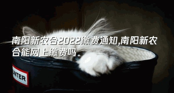 南阳新农合2022缴费通知,南阳新农合能网上缴费吗