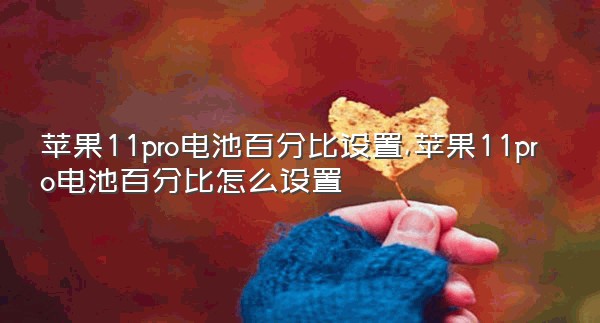 苹果11pro电池百分比设置,苹果11pro电池百分比怎么设置