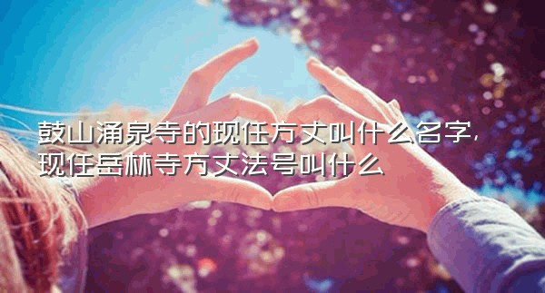 鼓山涌泉寺的现任方丈叫什么名字,现任岳林寺方丈法号叫什么